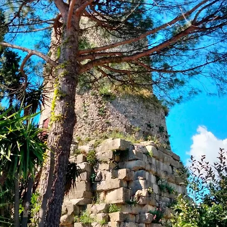 Approdo Felice Daire